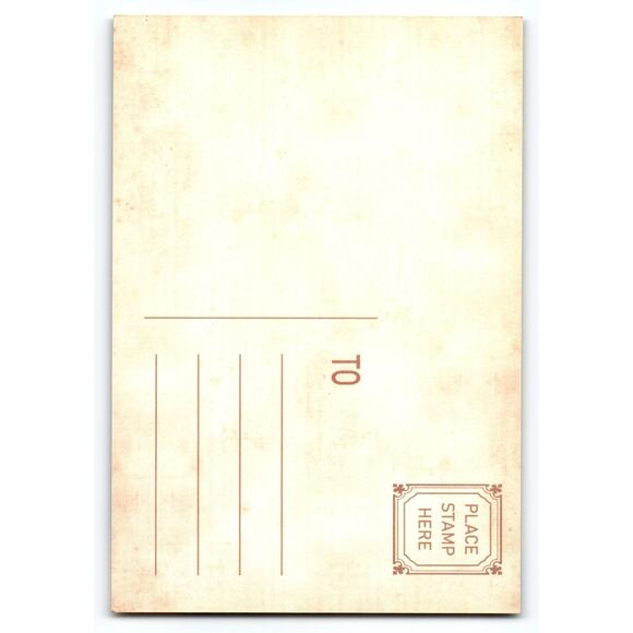 Vintage Halloween Forest Moonlit Night Photochrome Postcard 5.5x4 - Picture 2 of 2